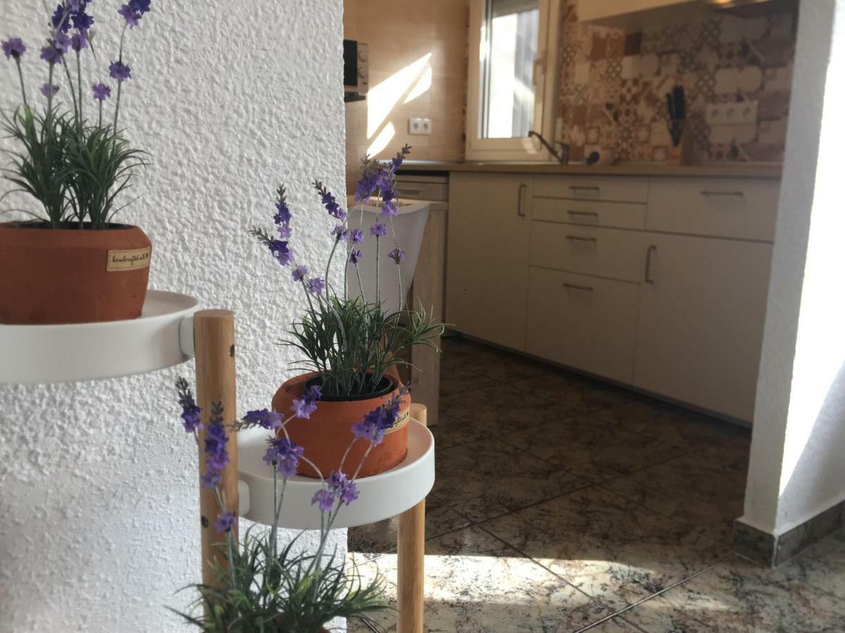 Casa Llurgo Βίλα Deltebre Εξωτερικό φωτογραφία